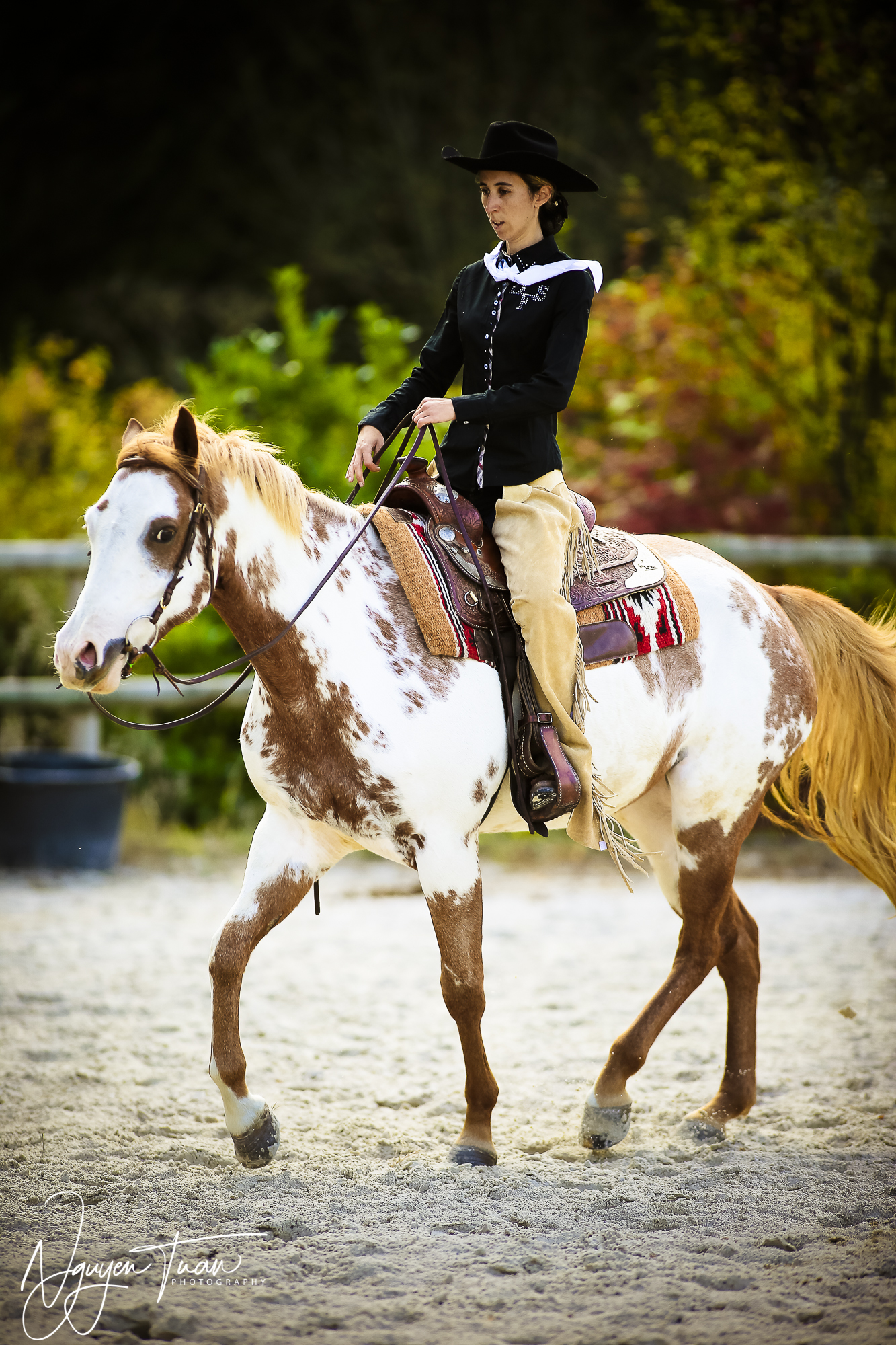 American Horse    0472